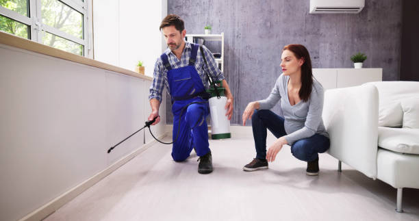 Best Residential Pest Control  in Millvale, PA